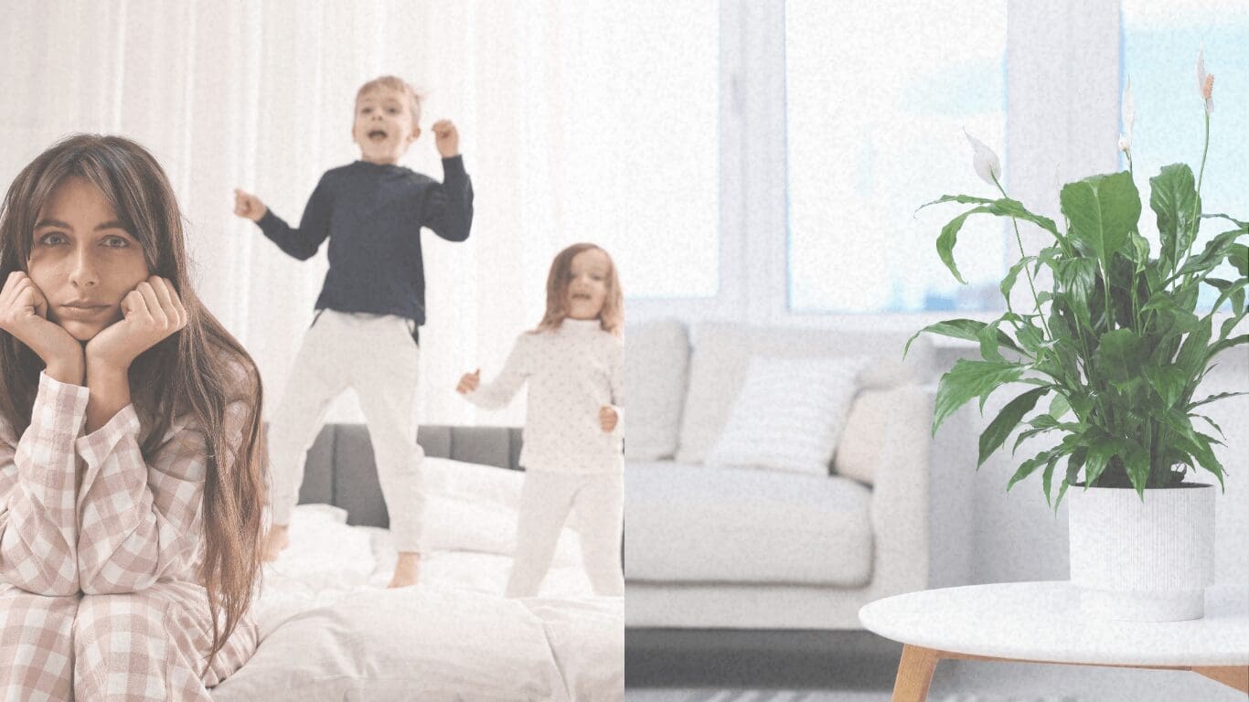 Image of beautiful home comparing to chaotic home with children